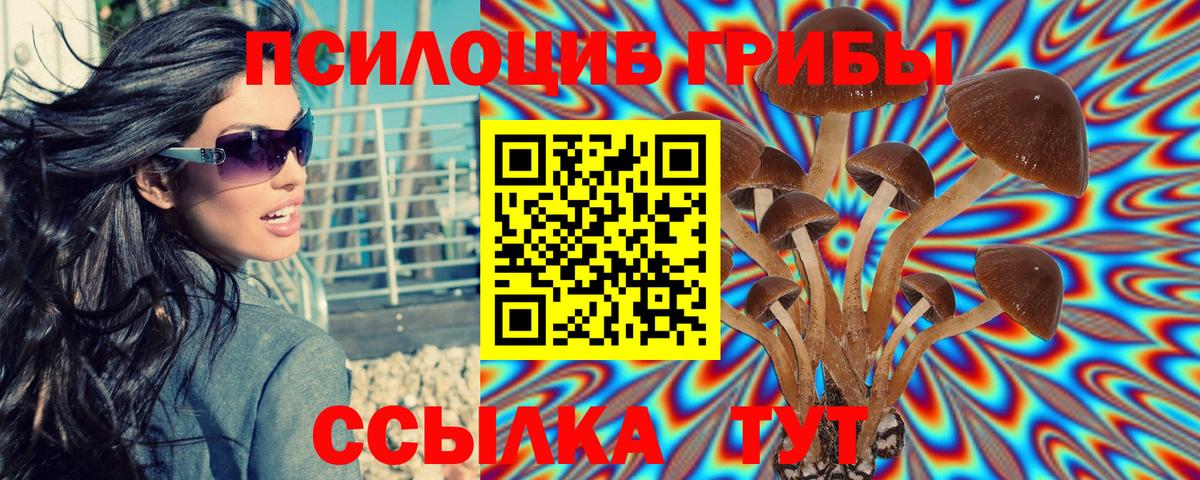Псилоцибиновые грибы Magic Shrooms Печора