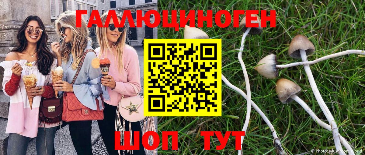 Псилоцибиновые грибы MAGIC MUSHROOMS  Вход с VPN  Печора  Галлюциногенные грибы мухоморы 